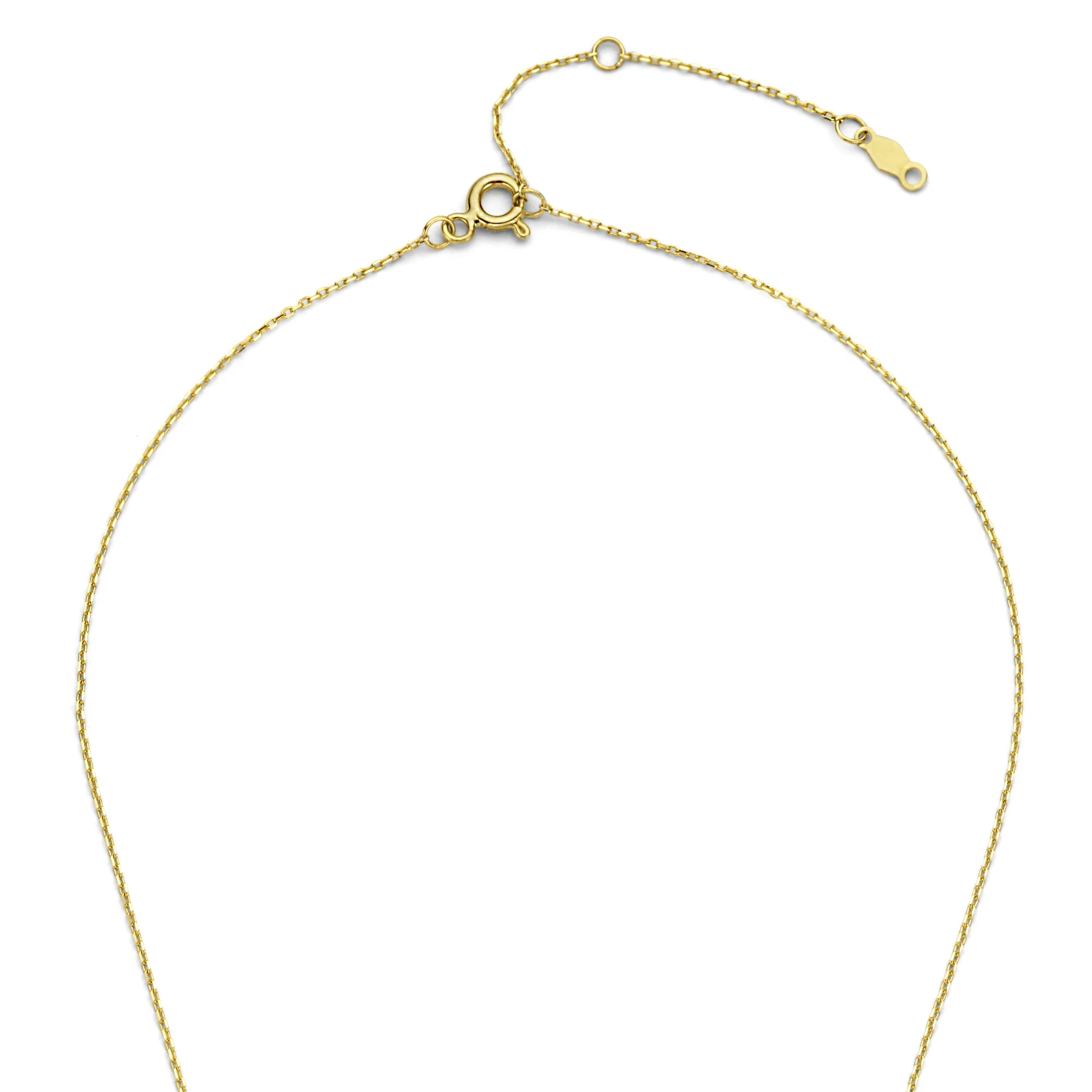 De la Paix Maxime 14 karat gold necklace with diamond 0.11 carat - Image 7