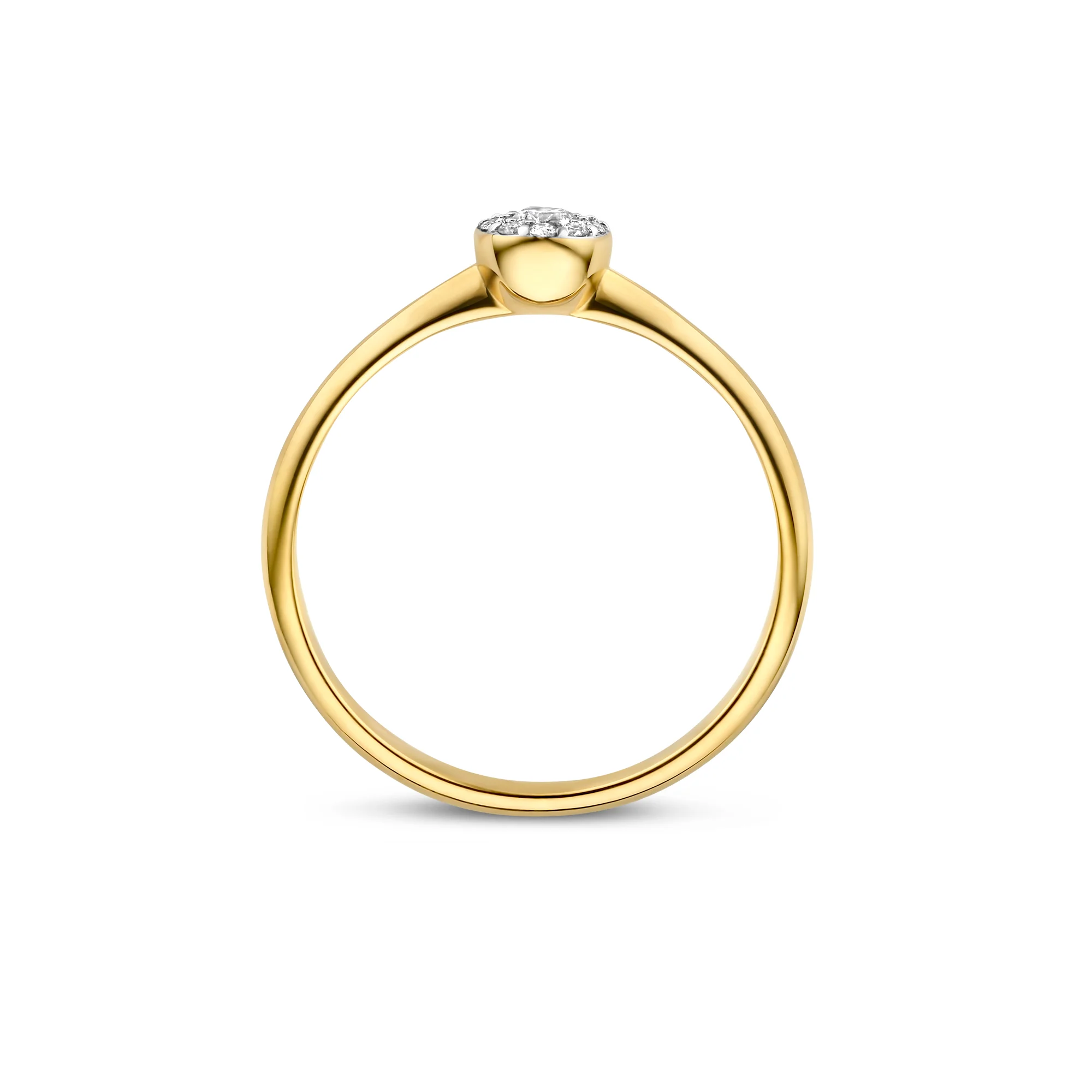 De la Paix Viviane 14 karat gold ring with diamond 0.11 carat - Image 6