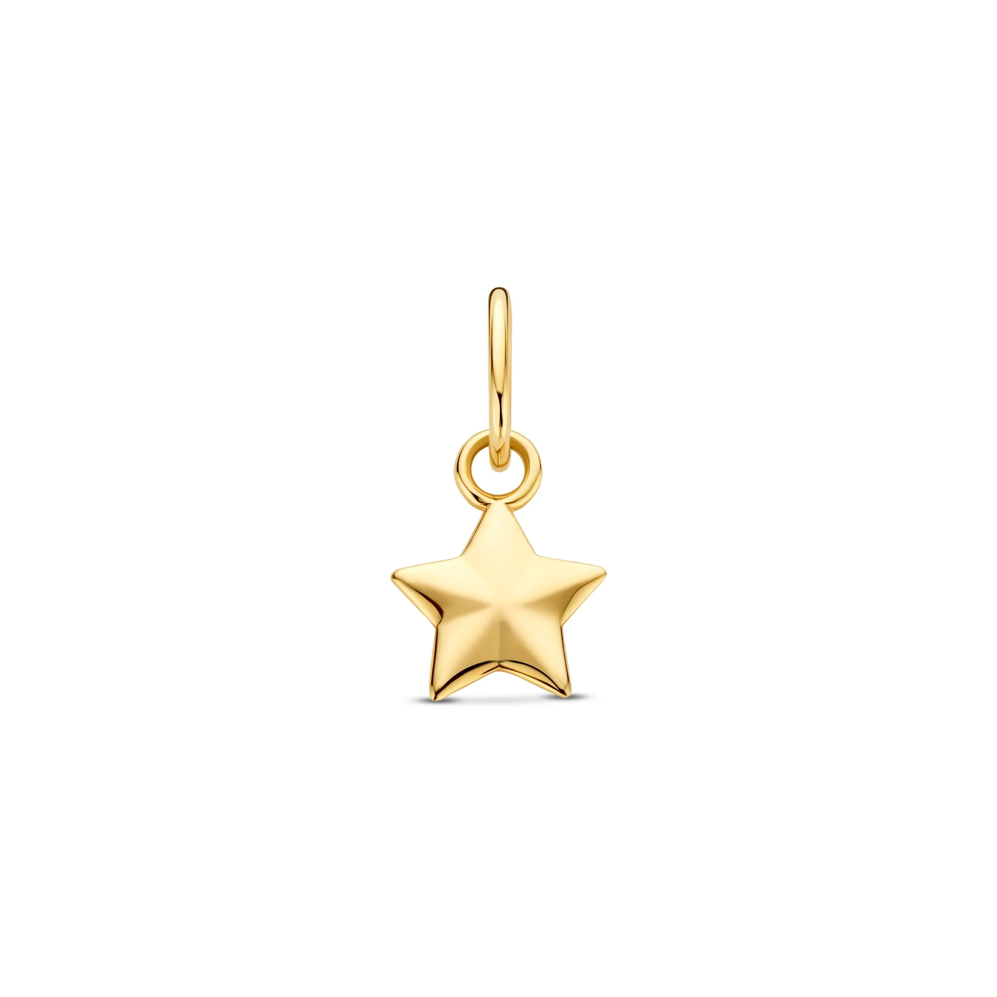 Le Marais Star 14 karat gold charm
